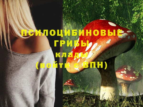ГАЛЛЮЦИНОГЕННЫЕ ГРИБЫ Пестово
