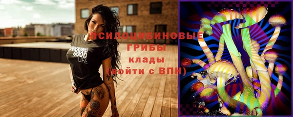 mdpv Всеволожск