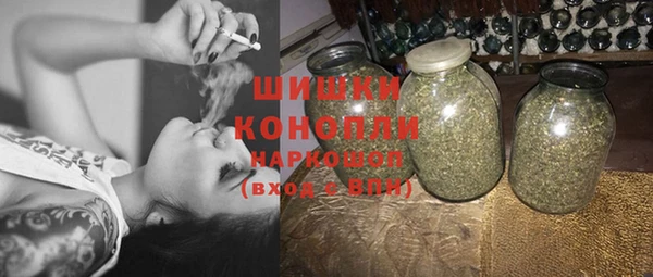 крисы Осинники