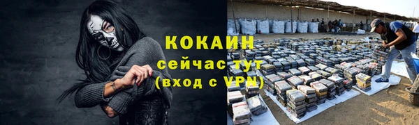 ГАЛЛЮЦИНОГЕННЫЕ ГРИБЫ Пестово