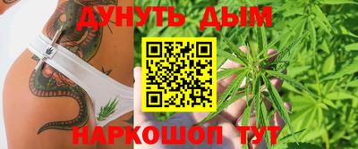 скорость Дубна