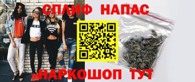 скорость Дубна