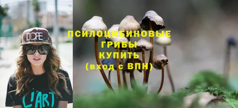 Псилоцибиновые грибы Magic Shrooms  Кушва 