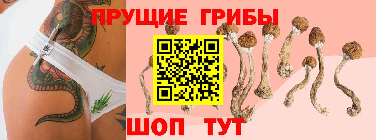 Галлюциногенные грибы Psilocybe Кушва